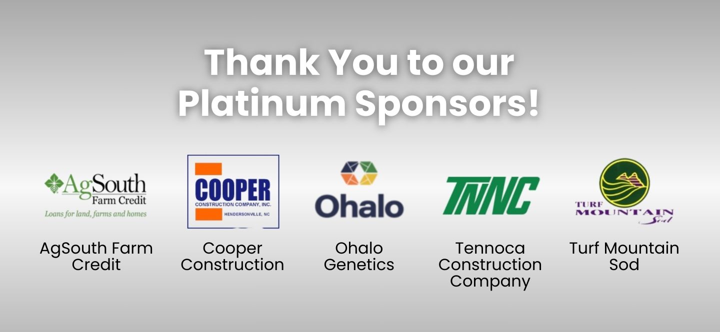 platinum sponsors